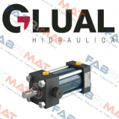 KI 100/70X760-L302-1-AD-AM-2 Glual Hydraulics