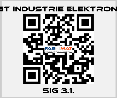 SIG 3.1. EGT Industrie elektronik