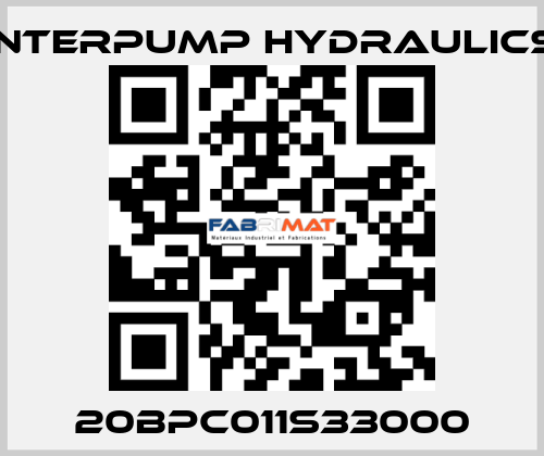 20BPC011S33000 Interpump hydraulics
