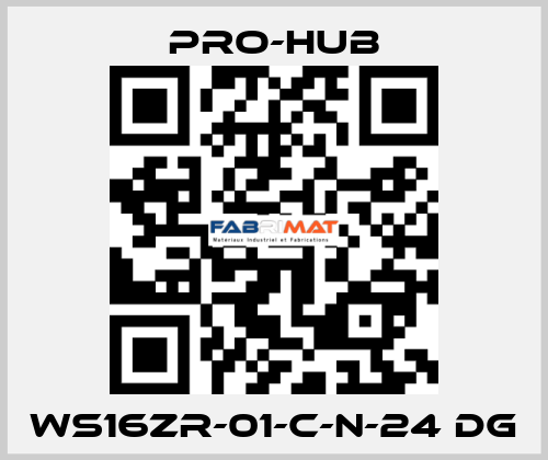 WS16ZR-01-C-N-24 DG Pro-Hub