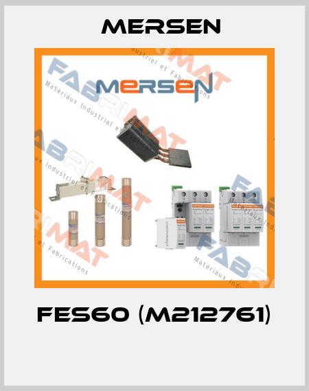 FES60 (M212761)  Mersen