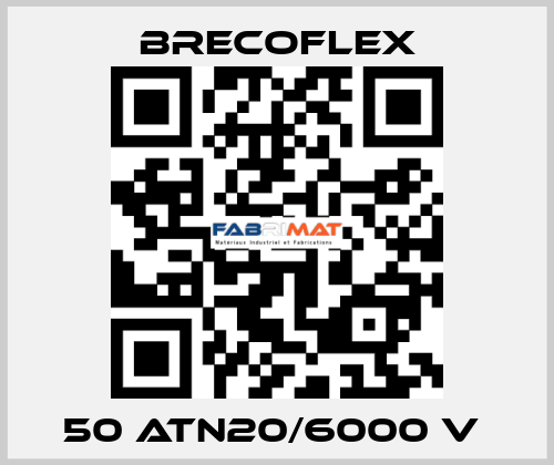 50 ATN20/6000 V  Brecoflex