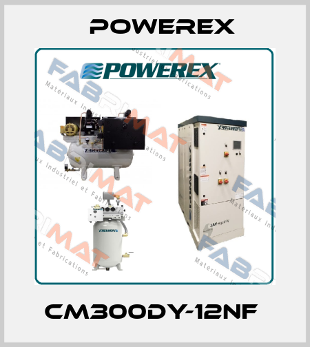 CM300DY-12NF  Powerex