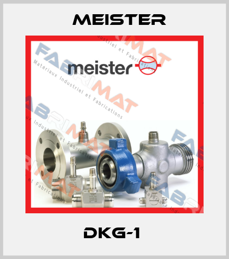 DKG-1  Meister