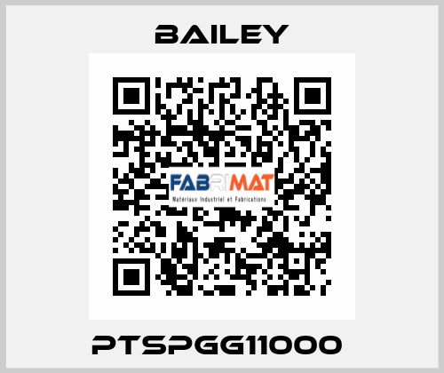  PTSPGG11000  Bailey