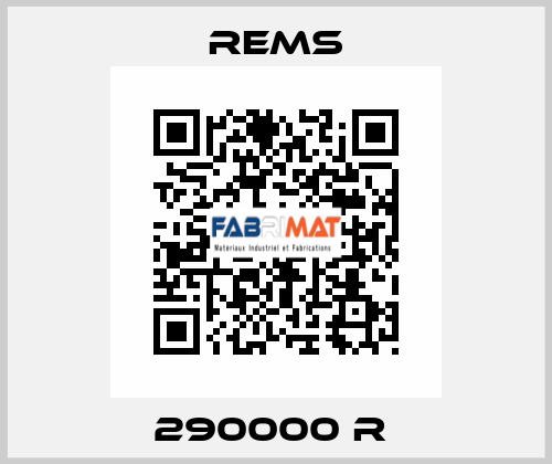 290000 R  Rems
