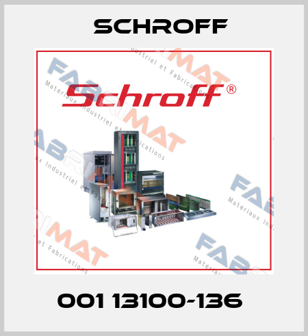 001 13100-136  Schroff