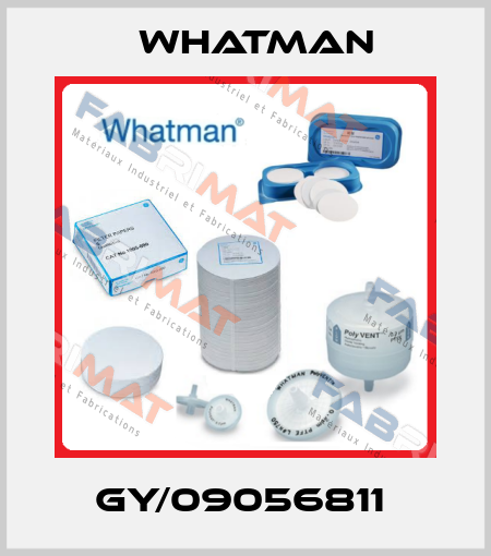 GY/09056811  Whatman