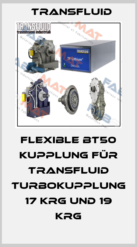 Flexible BT50 Kupplung für Transfluid Turbokupplung 17 KRG und 19 KRG Transfluid