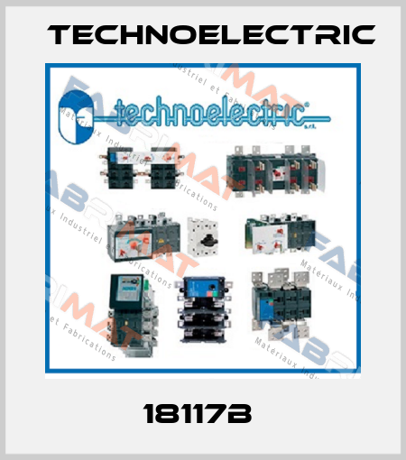 18117B  Technoelectric