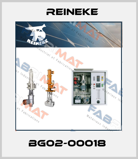 BG02-00018  Reineke