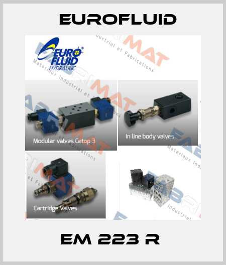 EM 223 R  Eurofluid