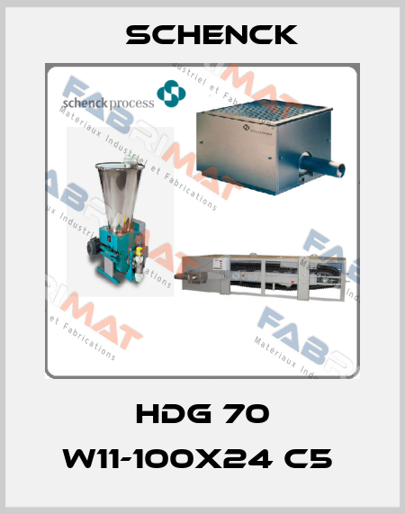 HDG 70 W11-100x24 C5  Schenck