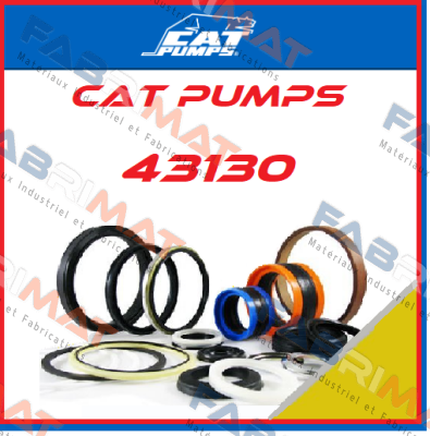 43130 Cat Pumps