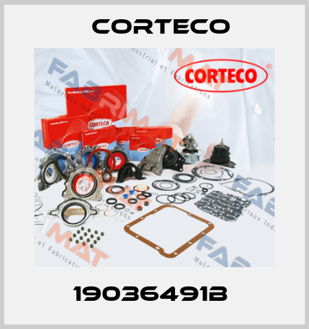 19036491B  Corteco