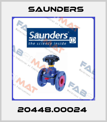 20448.00024  Saunders