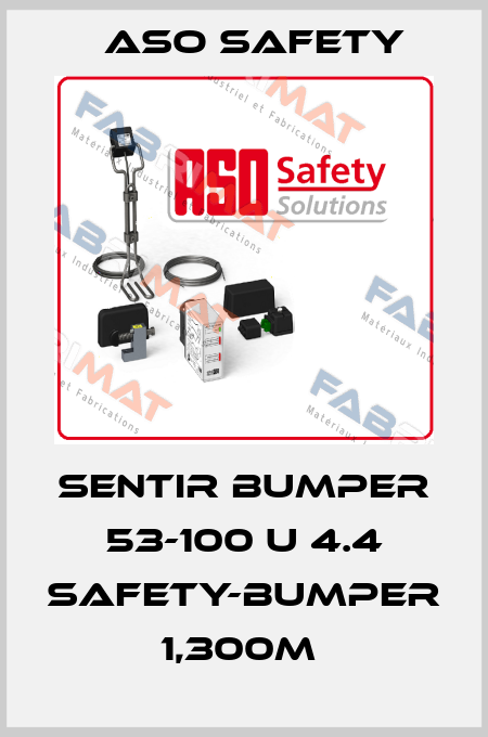 SENTIR bumper 53-100 U 4.4 Safety-Bumper 1,300m  ASO SAFETY