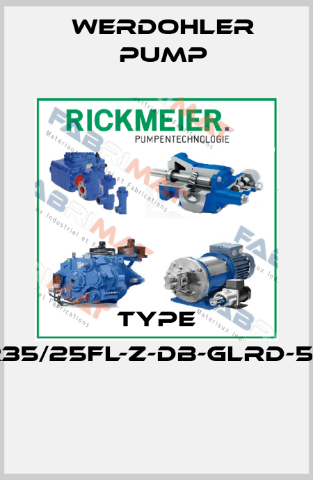 TYPE R35/25FL-Z-DB-GLRD-50   Werdohler Pump