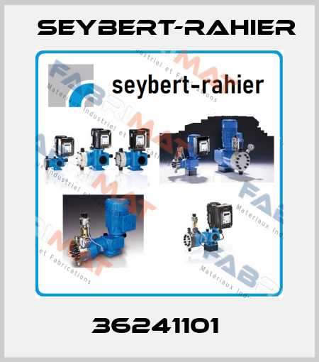 36241101  Seybert-Rahier