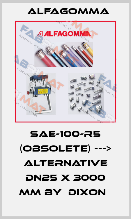 SAE-100-R5 (obsolete) ---> alternative DN25 x 3000 mm by  Dixon   Alfagomma