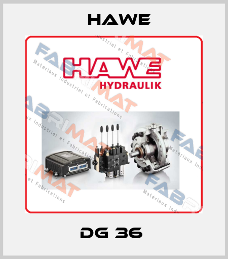 DG 36  Hawe