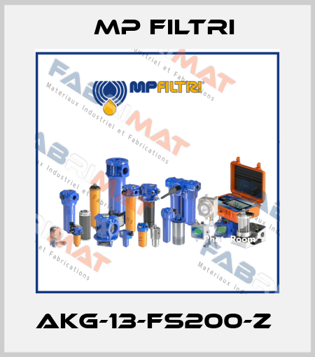 AKG-13-FS200-Z  MP Filtri