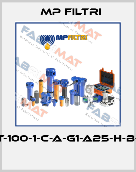 MPT-100-1-C-A-G1-A25-H-B-P01  MP Filtri
