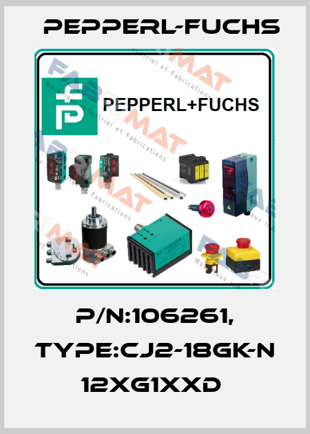 P/N:106261, Type:CJ2-18GK-N            12xG1xxD  Pepperl-Fuchs