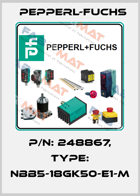 p/n: 248867, Type: NBB5-18GK50-E1-M Pepperl-Fuchs