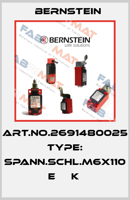 Art.No.2691480025 Type: SPANN.SCHL.M6X110      E     K  Bernstein