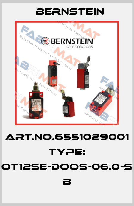 Art.No.6551029001 Type: OT12SE-DOOS-06.0-S           B Bernstein