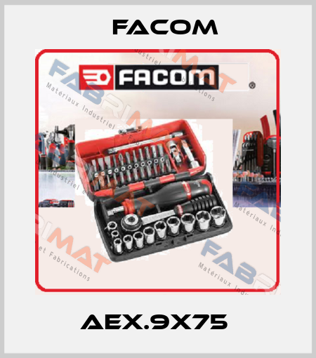 AEX.9X75  Facom