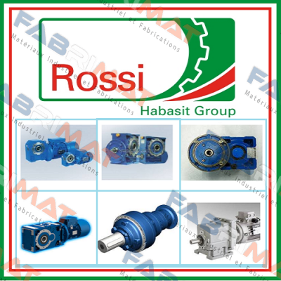 2040068  AS 45X62X8  Rossi