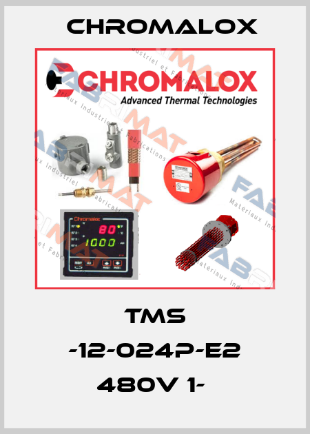 TMS -12-024P-E2 480V 1-  Chromalox