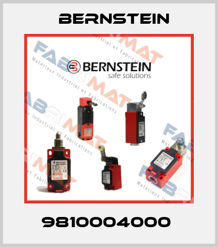9810004000  Bernstein