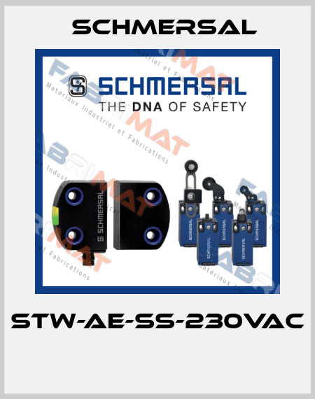 STW-AE-SS-230VAC  Schmersal
