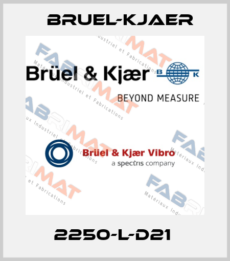 2250-L-D21  Bruel-Kjaer