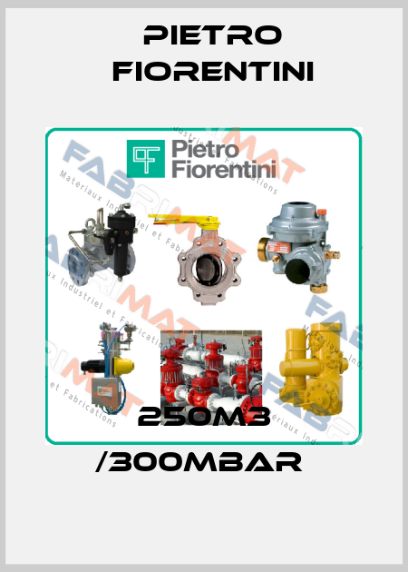 250M3 /300MBAR  Pietro Fiorentini