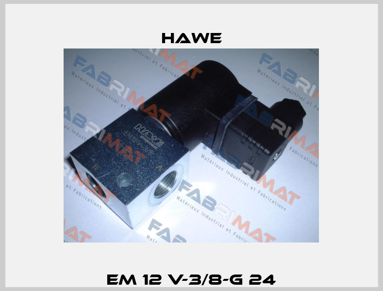 EM 12 V-3/8-G 24 Hawe