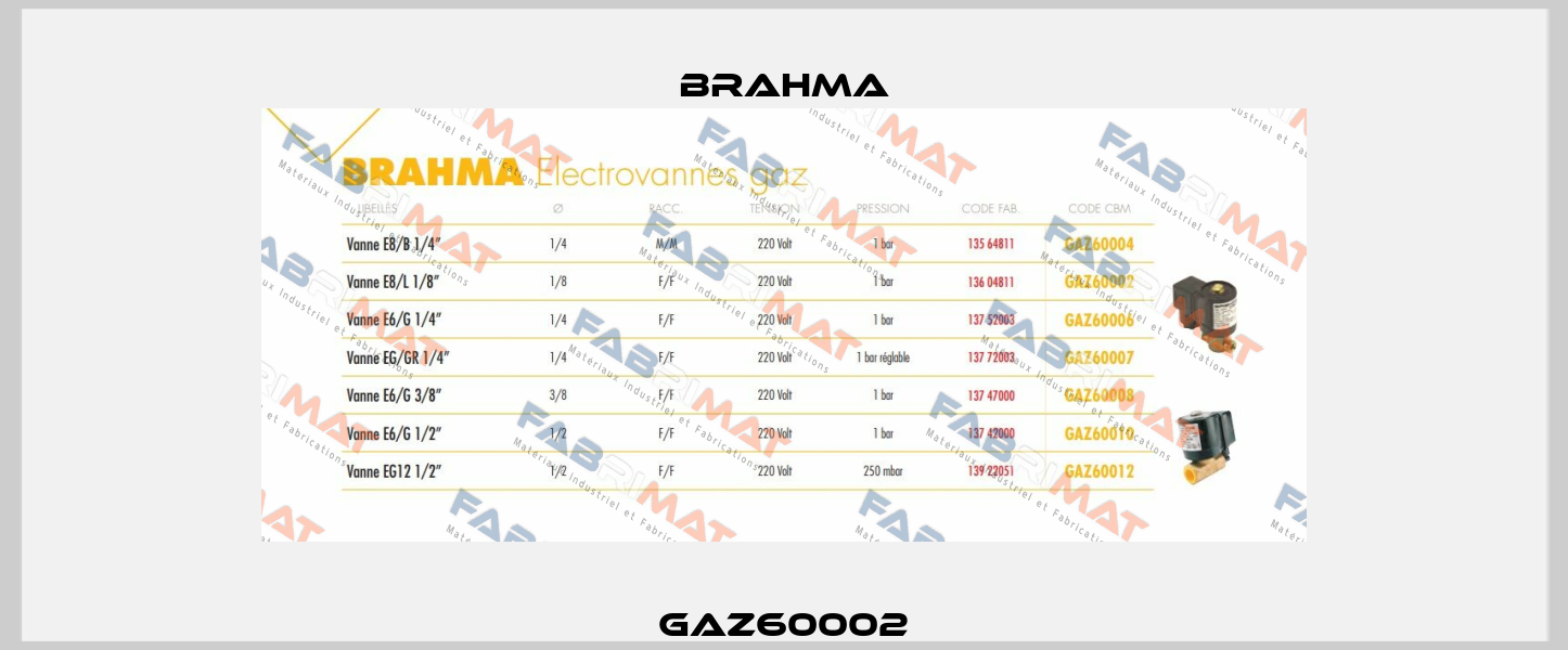 GAZ60002 Brahma