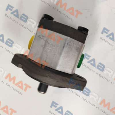 98066/1G6CDH09S Roquet pump