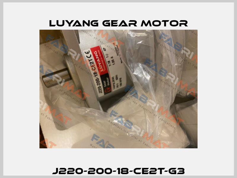 J220-200-18-CE2T-G3 Luyang Gear Motor
