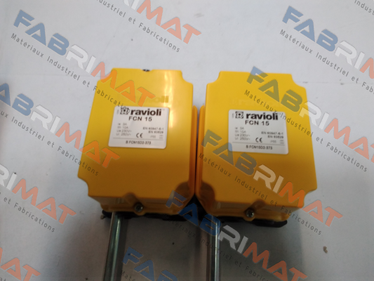 BFCN15D2-373 Ravioli
