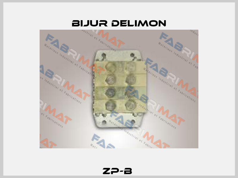 ZP-B  Bijur Delimon