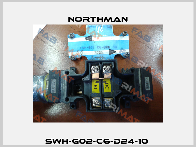SWH-G02-C6-D24-10  Northman