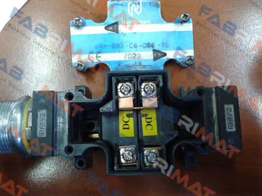 SWH-G02-C6-D24-10 Northman