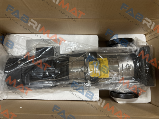 MSVF3-60 Rae Pumps