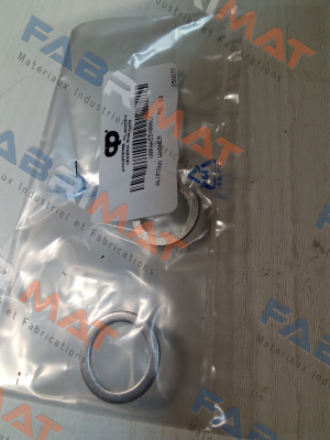 V0RAA23X00017 POMPE CUCCHI SRL