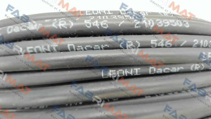 76D00306A000K8002 Leoni
