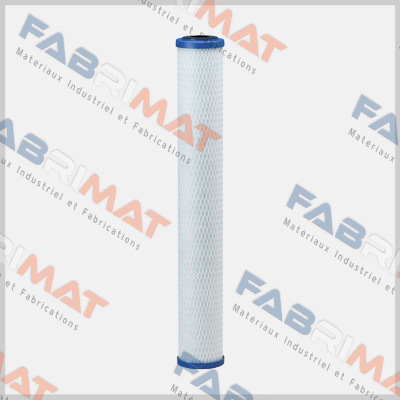155529-43 \ EP-20 Pentek (Pentair)